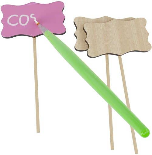 Dan&Darci - Paint and Plant Flower Growing Kit