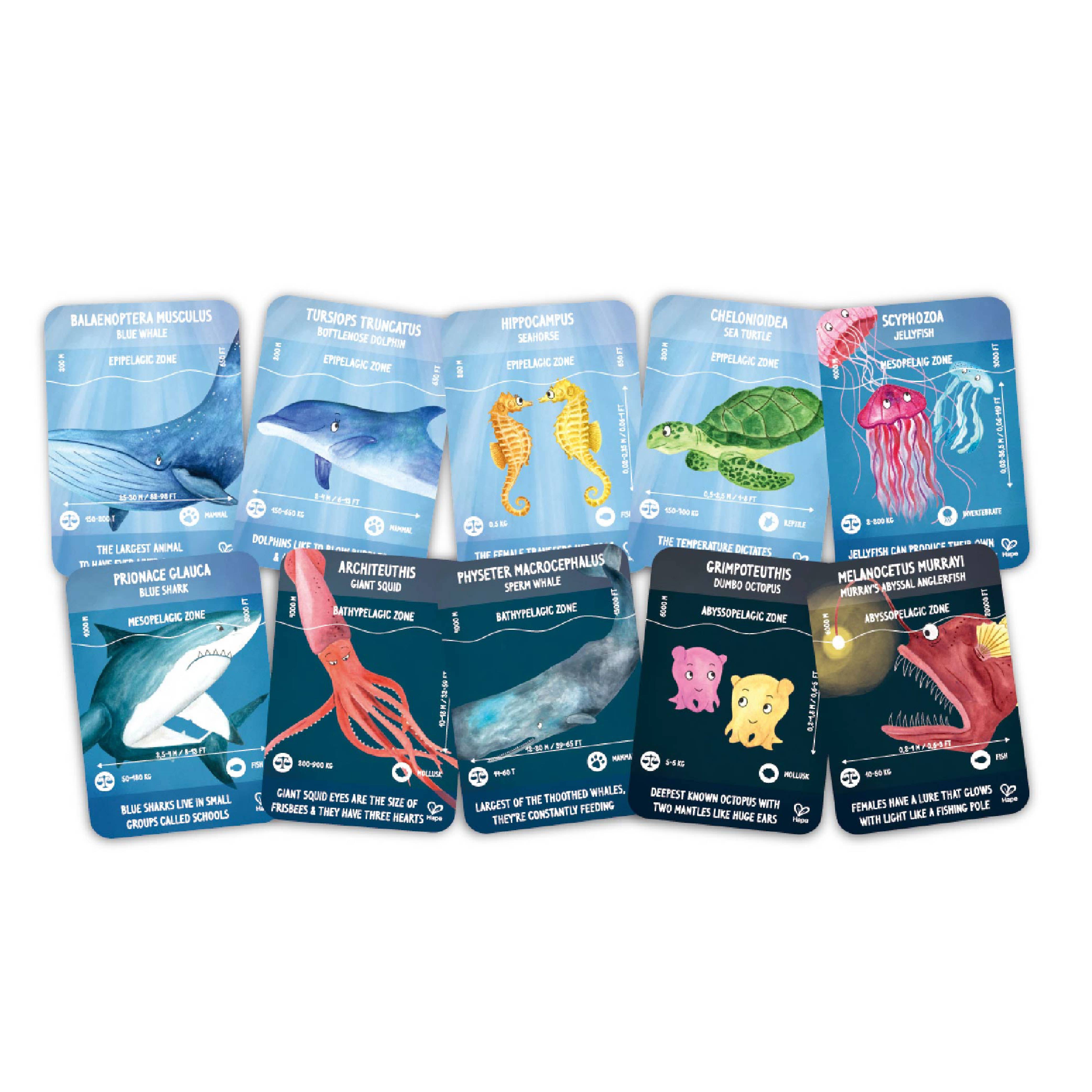 Hape Toys - Ocean Life Puzzle - Glow in the Dark!