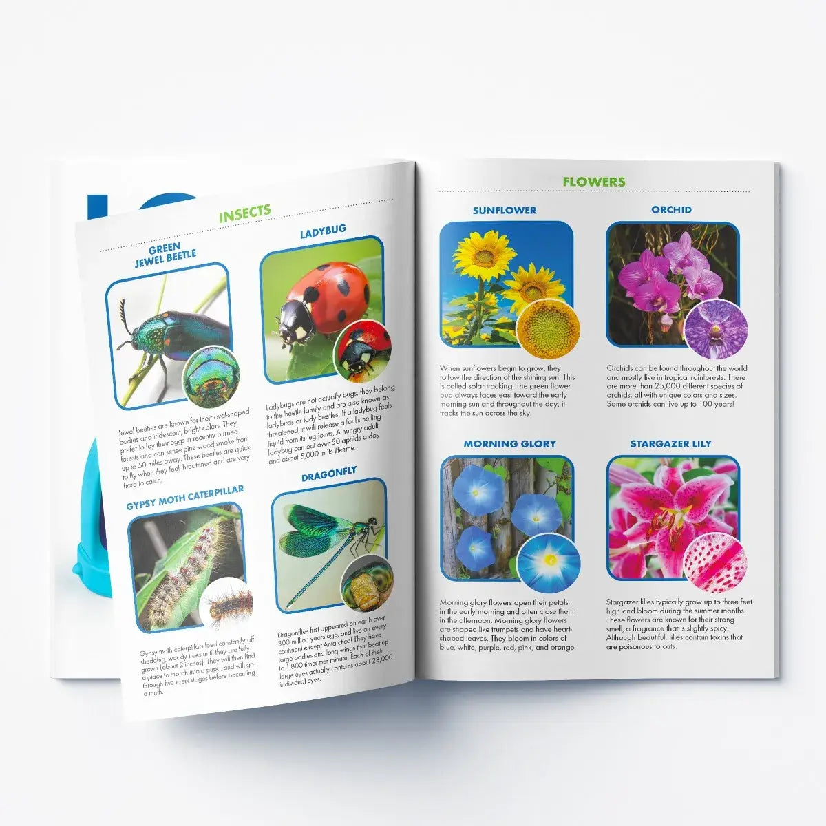 Learning Resources - Geosafari® Jr. Kidscope™
