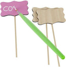 Dan&Darci - Paint and Plant Flower Growing Kit