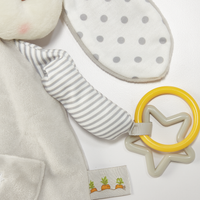 Bunnies By the Bay - Bloom's Activity Toy