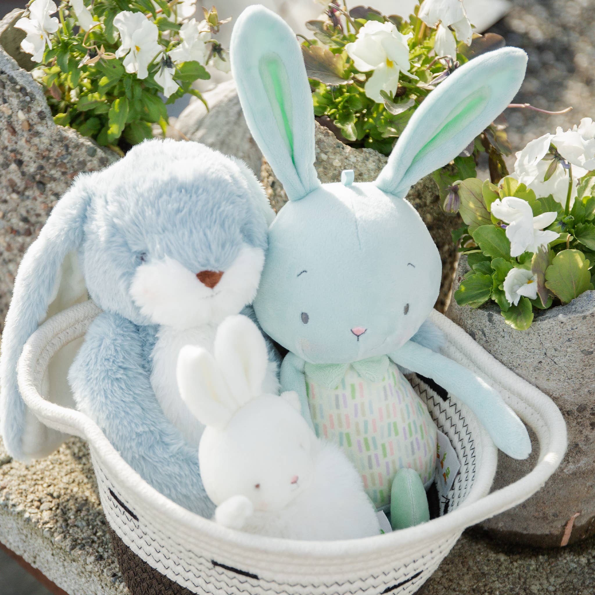 Bunnies By the Bay - Jelly Buns - Mint Jelly