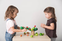 PlanToys - Balancing Cactus