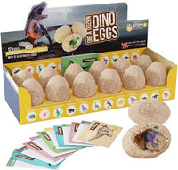 Dan&Darci - Dig a Dozen Dino Eggs Kit - Little Stars Toy Store & PlayhouseDan&Darci
