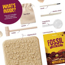 Dan&Darci - Fossil Dig Kit for Kids - Little Stars Toy Store & PlayhouseDan&Darci