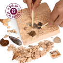Dan&Darci - Fossil Dig Kit for Kids - Little Stars Toy Store & PlayhouseDan&Darci