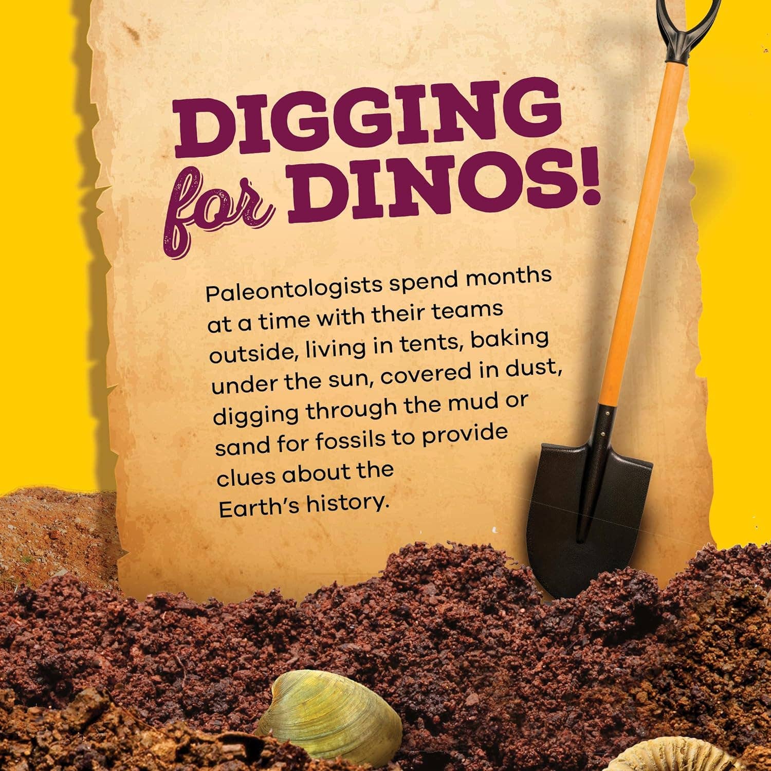 Dan&Darci - Fossil Dig Kit for Kids - Little Stars Toy Store & PlayhouseDan&Darci