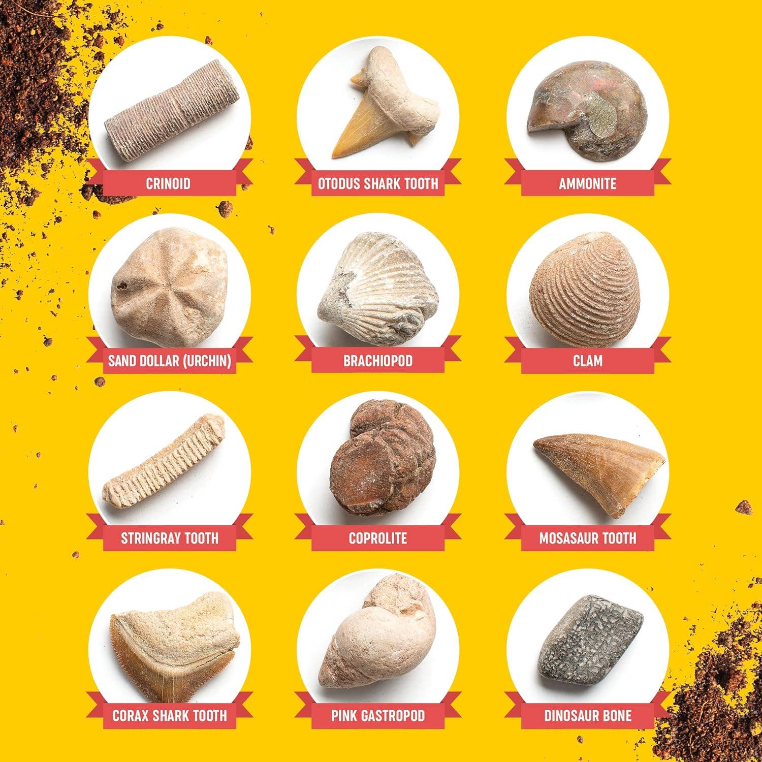 Dan&Darci - Fossil Dig Kit for Kids - Little Stars Toy Store & PlayhouseDan&Darci