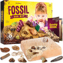 Dan&Darci - Fossil Dig Kit for Kids - Little Stars Toy Store & PlayhouseDan&Darci