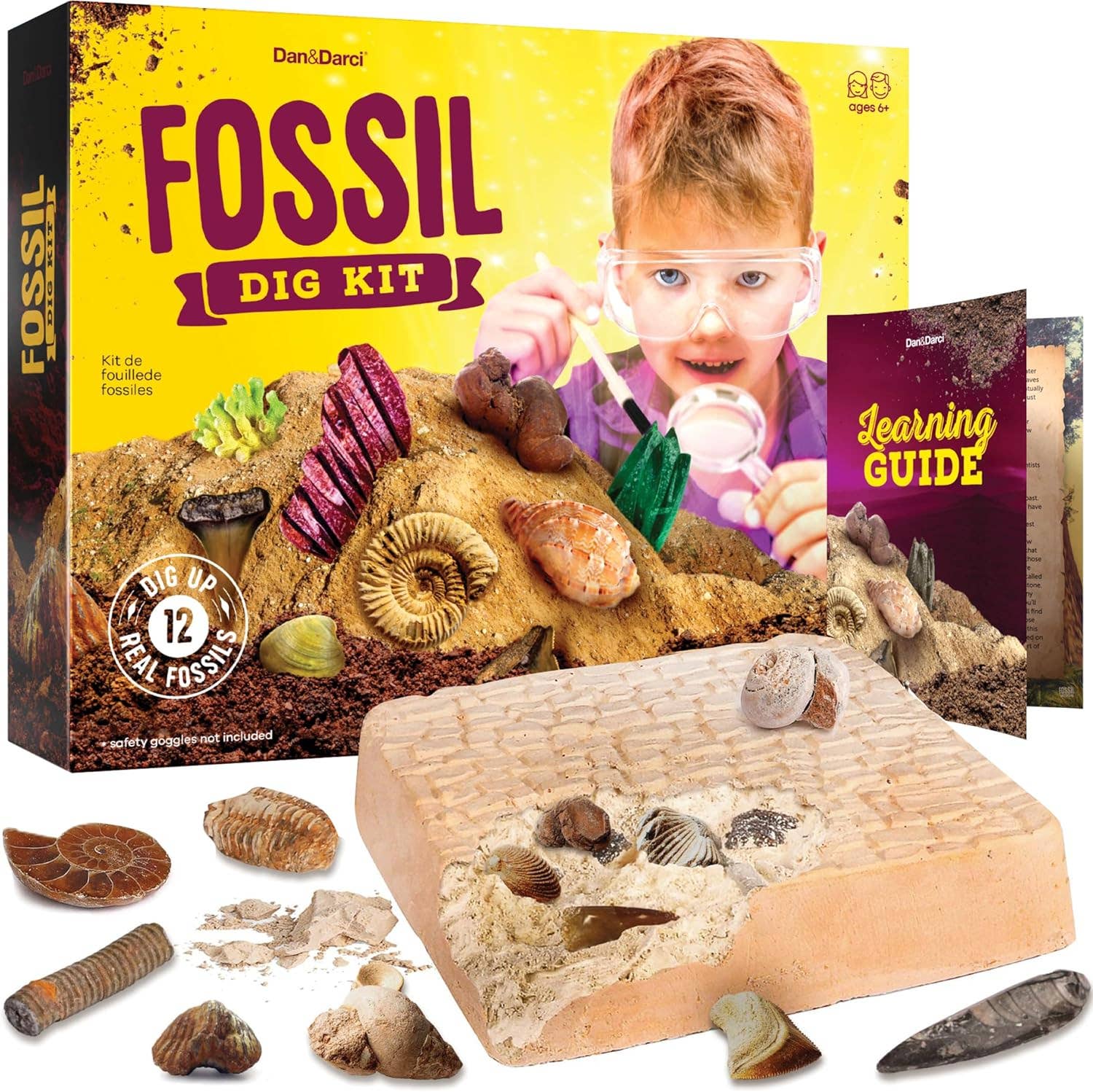 Dan&Darci - Fossil Dig Kit for Kids