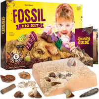 Dan&Darci - Fossil Dig Kit for Kids - Little Stars Toy Store & PlayhouseDan&Darci