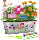 Dan&Darci - Paint and Plant Flower Growing Kit - Little Stars Toy Store & PlayhouseDan&Darci