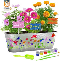 Dan&Darci - Paint and Plant Flower Growing Kit - Little Stars Toy Store & PlayhouseDan&Darci