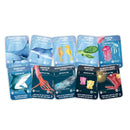 Hape Toys - Ocean Life Puzzle - Glow in the Dark! - Little Stars Toy Store & PlayhouseHape Toys