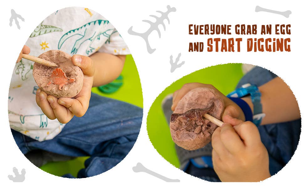 JitteryGit - 12 Dino Eggs STEM Dinosaur Toy For Kids - Little Stars Toy Store & PlayhouseJitteryGit