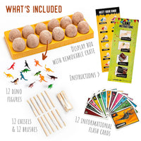 JitteryGit - 12 Dino Eggs STEM Dinosaur Toy For Kids - Little Stars Toy Store & PlayhouseJitteryGit