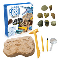 Learning Resources - GeoSafari® Fossil Excavation Kit - Little Stars Toy Store & PlayhouseLearning Resources
