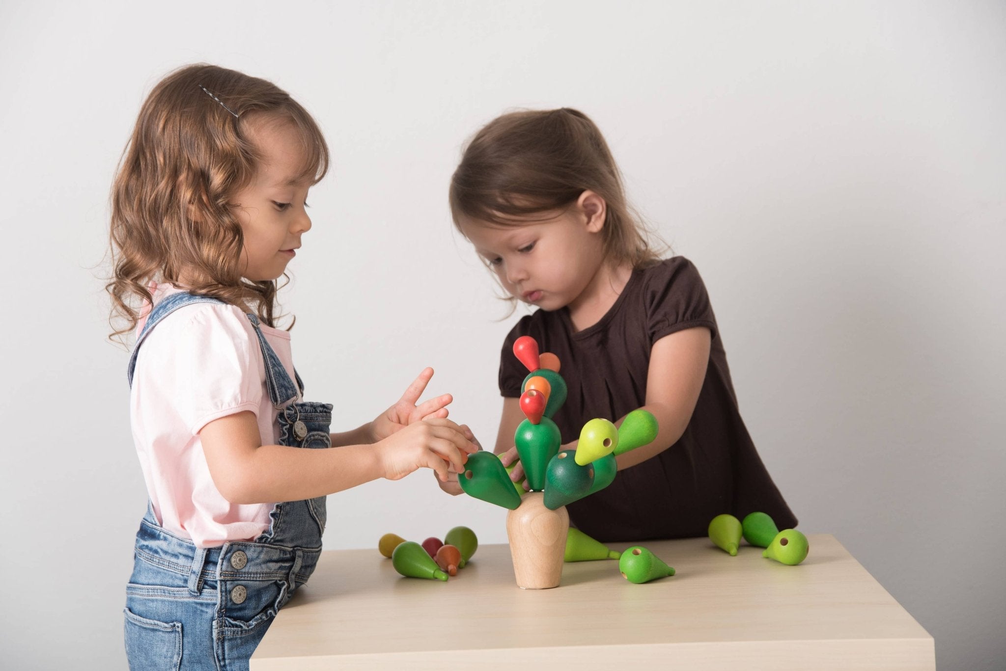 PlanToys - Balancing Cactus - Little Stars Toy Store & PlayhousePlanToys
