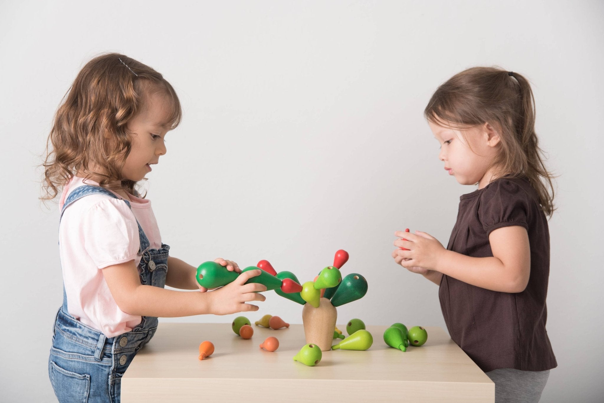 PlanToys - Balancing Cactus - Little Stars Toy Store & PlayhousePlanToys
