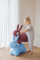 Quut Hoppi Bouncy Hopper Ball — Active Ride-On Toy for Toddlers 2–5 Years - Little Stars Toy Store & PlayhouseQuut Toys